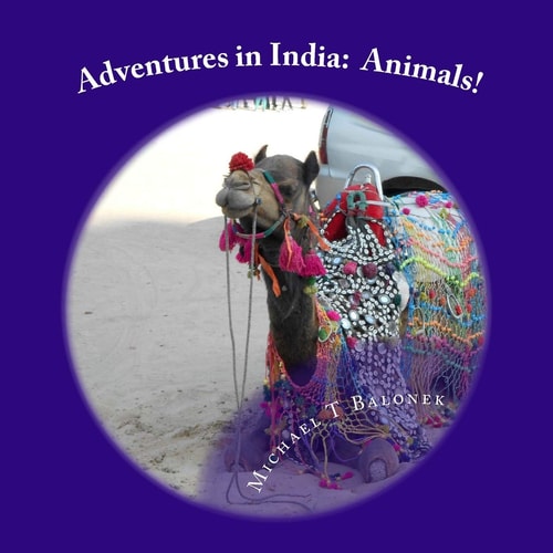 Adventures in India Animals