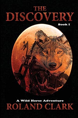 The Discovery A Wild Horse Adventure