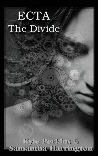 Ecta The Divide
