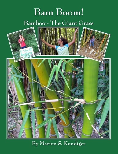 Bam Boom! Bamboo - The Giant Grass