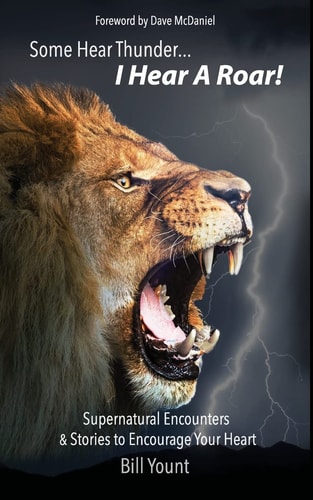 Some Hear Thunder... I Hear a Roar! Supernatural Encounters and Stories to Encourage Your Heart