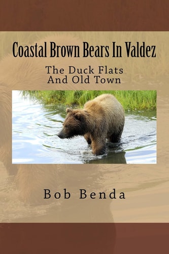 Coastal Brown Bears in Valdez The Duck Flats and Old Town
