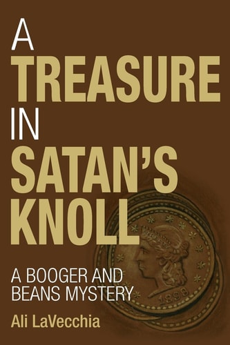 A Treasure in Satan's Knoll A Booger and Beans Mystery