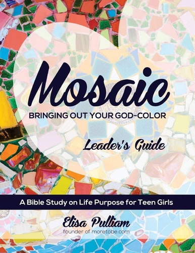 Mosaic Leader's Guide Bringing Out Your God-Color