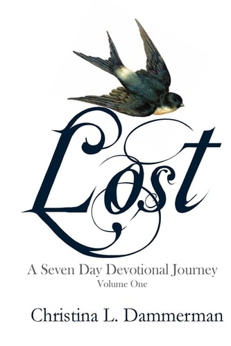 Lost A Seven Day Devotional Journey