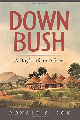 Down Bush A Boy's Life in Africa