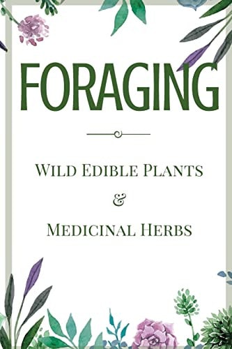 Foraging A Beginner's Guide to Foraging Wild Edible Plants and Medicinal Herbs