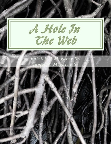 A Hole In The Web From the Mind of Visionary