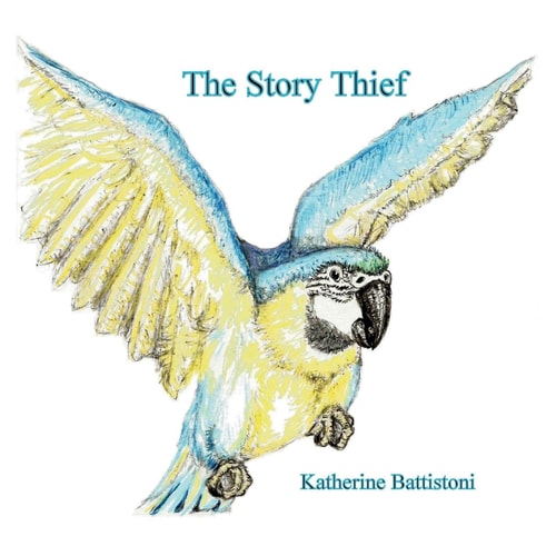 The Story Thief