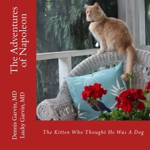 The Adventures of Napoleon The Kitten Who Thought He Was a Dog