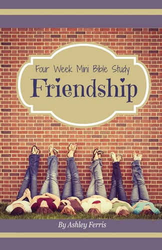 Friendship Four Week Mini Bible Study