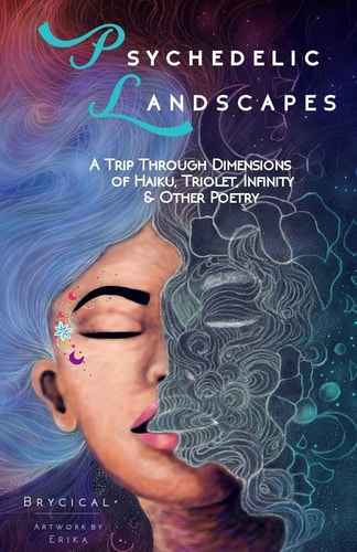 Psychedelic Landscapes A Trip Through Dimensions of Haiku, Triolet, Infinity and Other Poetry