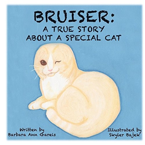 Bruiser A True Story about a Special Cat