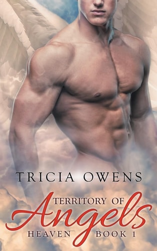 Territory of Angels (A R Heaven 1)