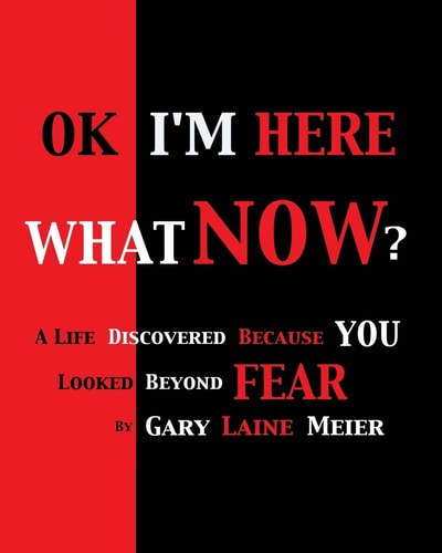 Ok I'm Here What Now? A Life Discovered Because You Looked Beyond Fear