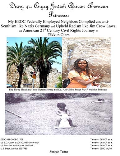 Diary of an Angry Jewish African American Princess : My EEOC Federally Employed Neighbors Complied with Anti-Semitism Like Nazis Germany and Upheld Racism Like Jim Crow Laws; an American 21st Century Civil Rights Journey to Tikkun Olam