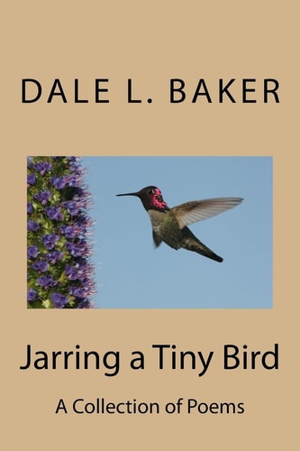 Jarring a Tiny Bird A Collection of Poems