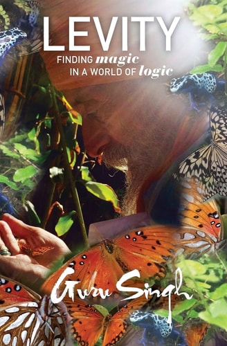 Levity Finding Magic in a World of Logic