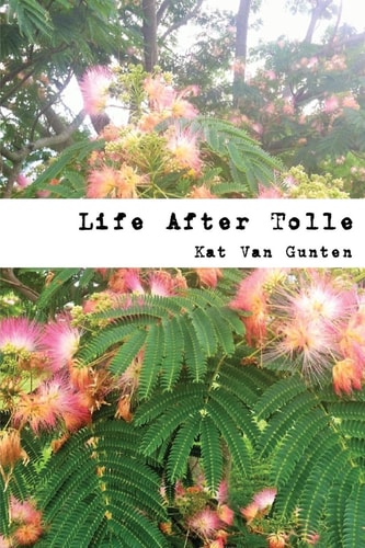 Life After Tolle A Call to Community