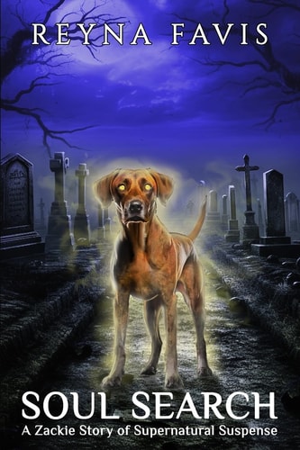 Soul Search A Zackie Story