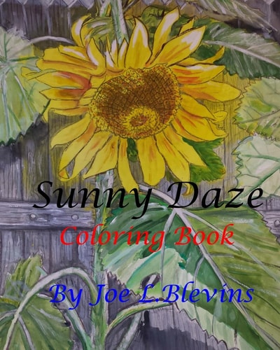 Sunny Daze Coloring Book A Fun Coloring Book for Kids and Adults