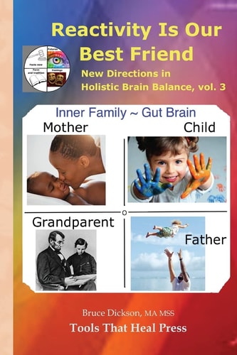Reactivity Is Our Best Friend New Directions in Holistic Brain Balance, Vol. 3