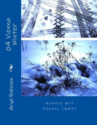 04 Vienna Winter Nature Art Photos (NAP)