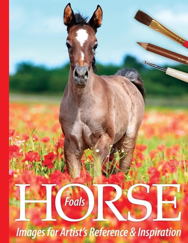 Foals Horse Images for Artist's Reference and Inspiration