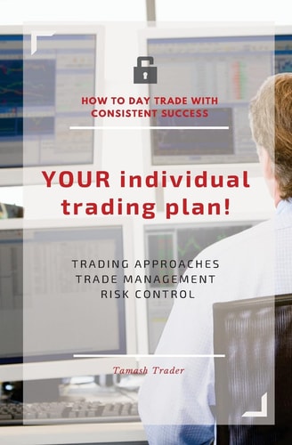 YOUR Individual Trading Plan! How to Day Trade with Consistent Success Trading Approaches, Trade Management, Risk Control