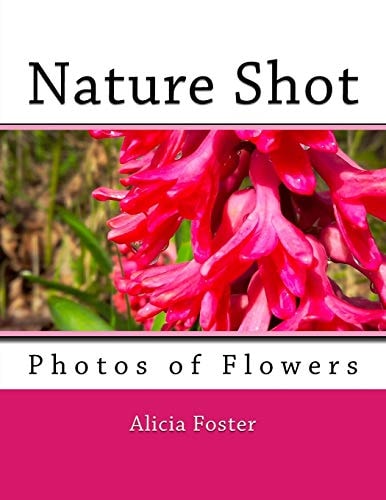 Nature Shot Photos of Flowers