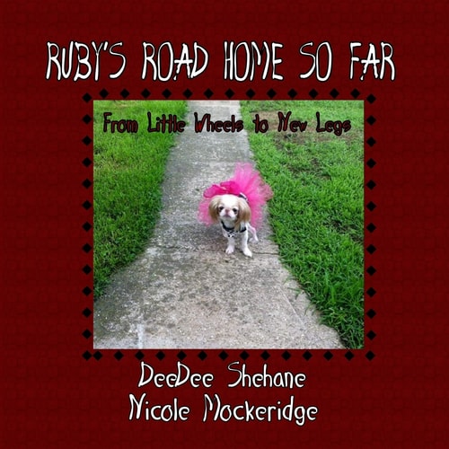 Ruby's Road Home So Far From Little Wheels to New Legs