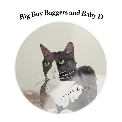 Big Boy Baggers and Baby D The Story of the Big Bold Tom Cat and the Baby Who Became Best Friends