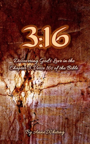 3 16: Discovering God's Love in the Chapter 3, Verse 16s of the Bible