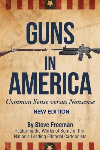 Guns In America : Common Sense Versus Nonsense