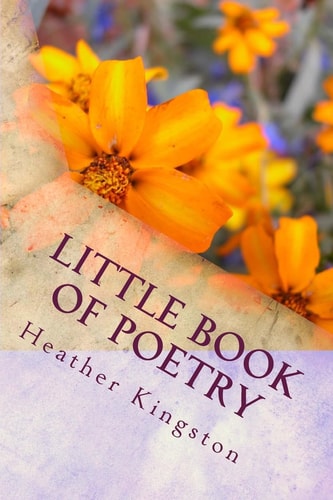 Little Book of Poetry