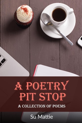 A Poetry Pit Stop A Collection Of Poems