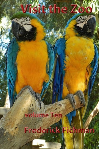 Visit the Zoo Volume Ten
