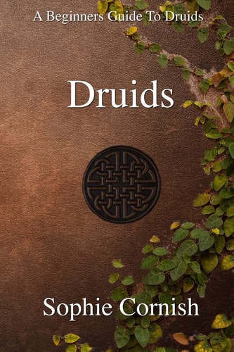 Druids A Beginners Guide to Druids