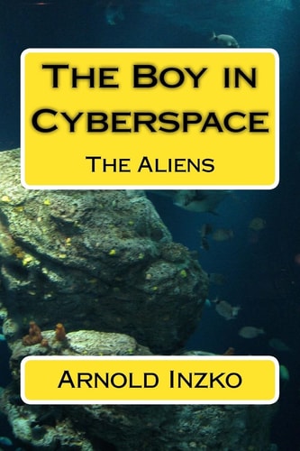 The Boy in Cyberspace The Aliens