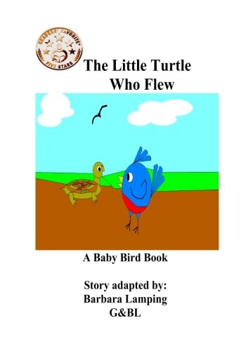 The Little Turtle Who Flew