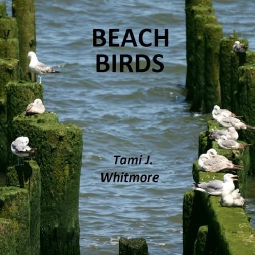 Beach Birds