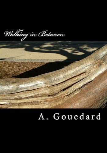 Walking in Between A Collection of Poetry