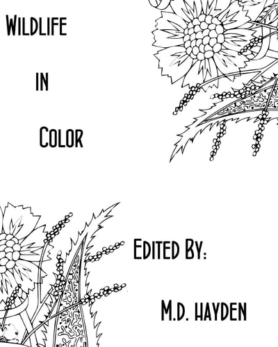Wildlife in Color A Coloring Book For Everyone, Even Adults!
