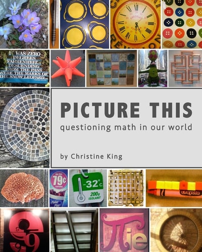 Picture This Questioning Math in Our World