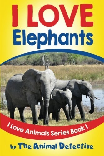 I Love Elephants