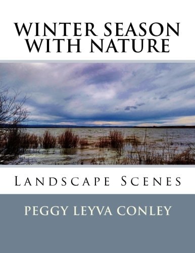Winter Season with Nature Landscape Scenes
