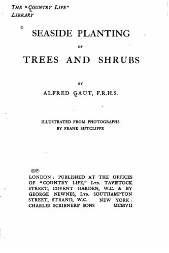 Seaside Planting of Trees and Shrubs
