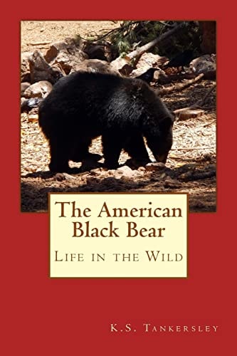 The American Black Bear Life in the Wild