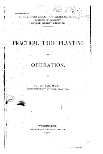 Practical Tree Planting in Operation