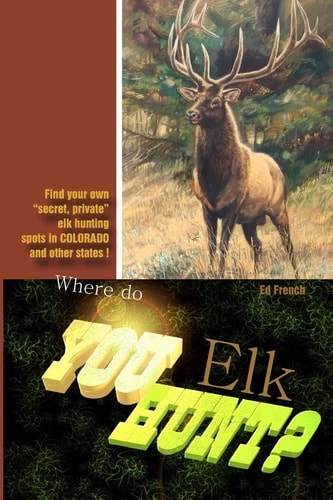 Where Do You Hunt Elk? Find Elk in Colorado